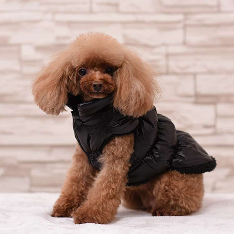 犬服 アウター小型犬用ダウンベスト
