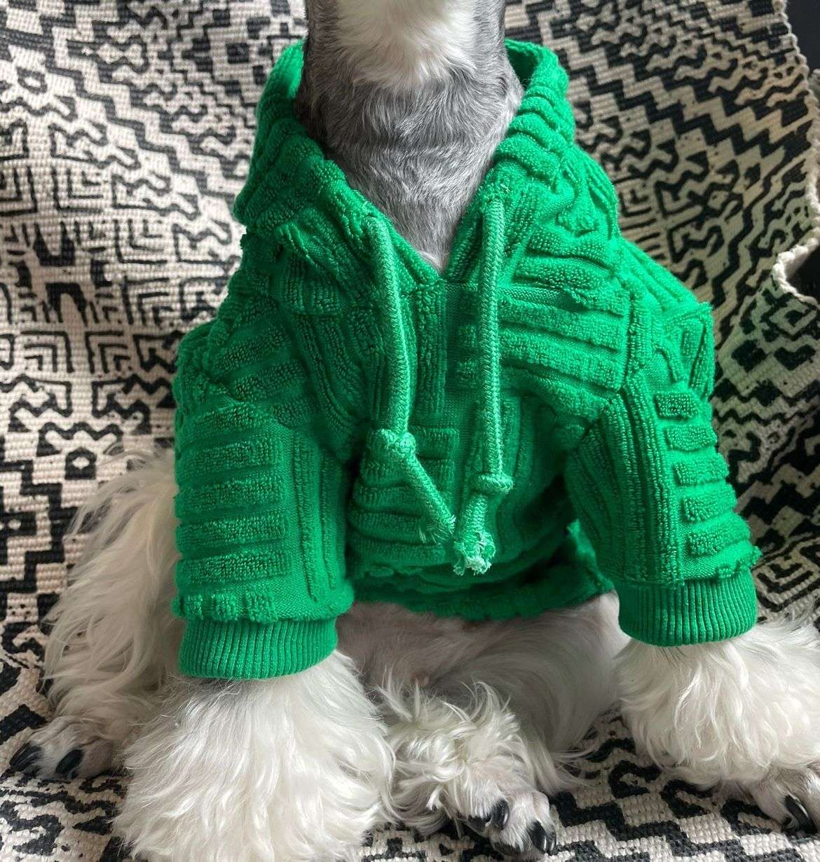 モコモコ素材のセーター型犬服