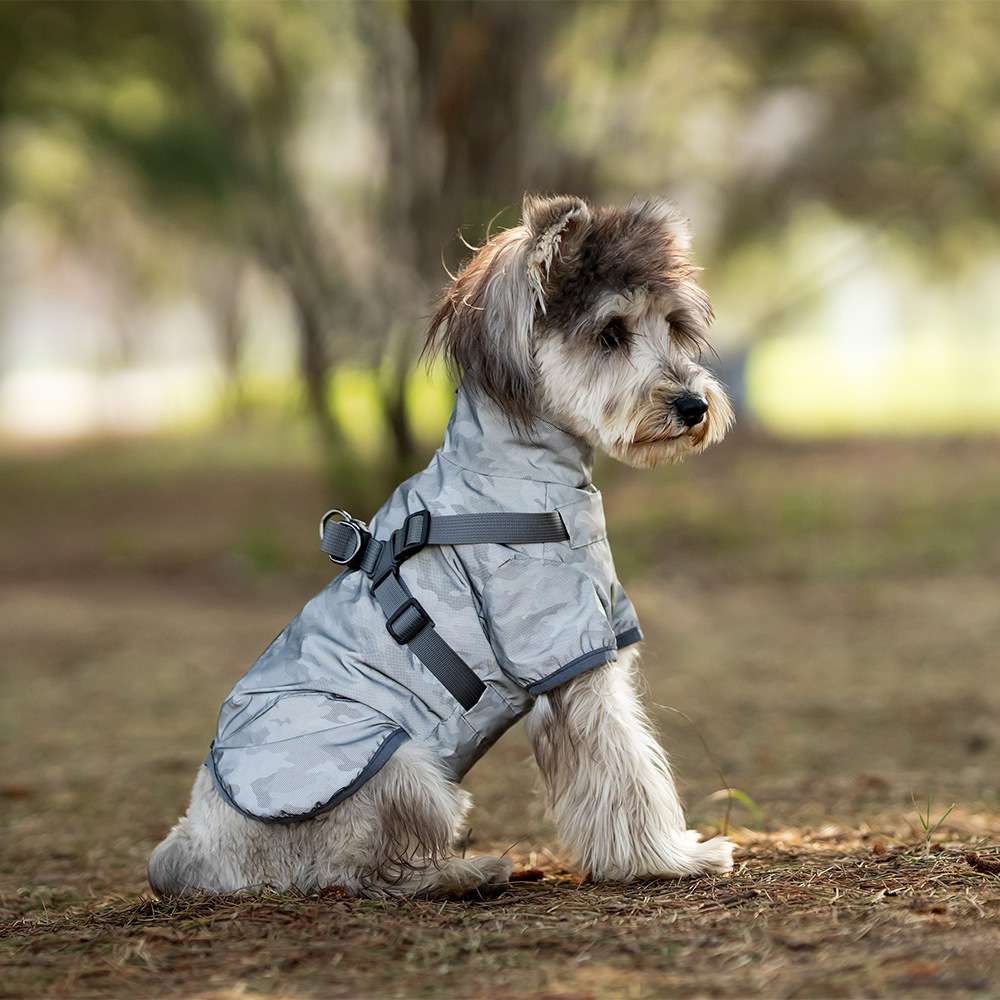 犬服 中型犬〜小型犬用オールウェザーコート〈レインウェア〉