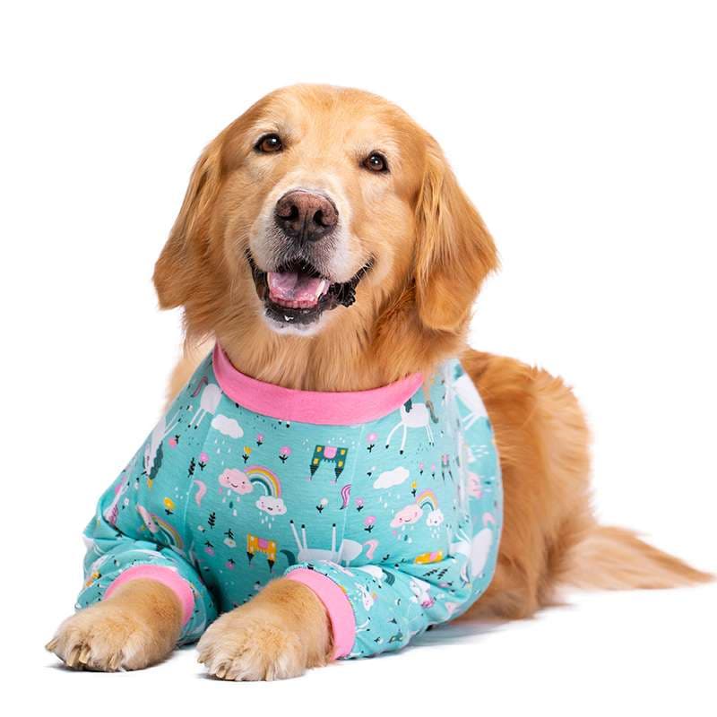 犬服 大型犬用フェアリー柄Tシャツ
