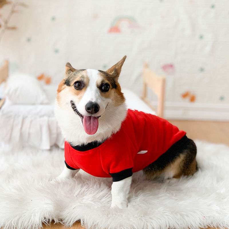 犬服 もこもこ素材の小型〜中型犬用ルームウェア