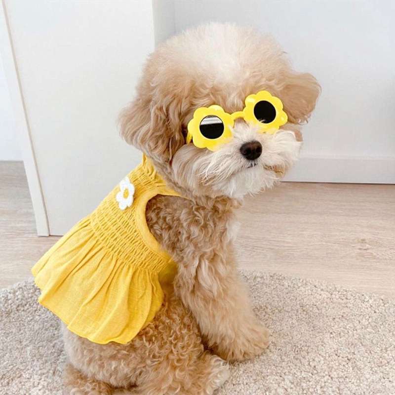 犬服 ふんわりワンピース 小型犬用フラワー付き