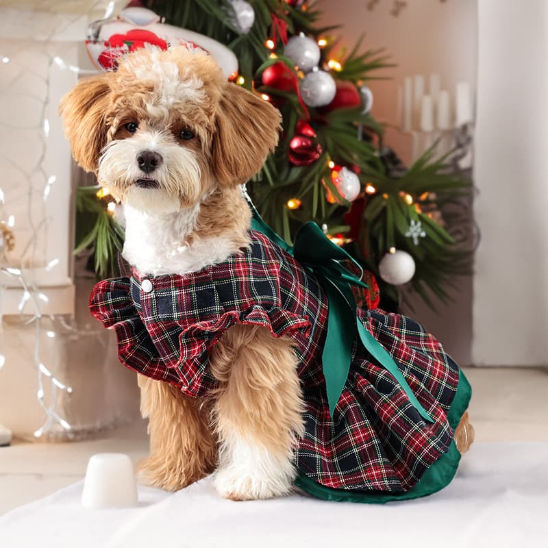 犬服 華やか格子柄リボン付きフリル犬用ワンピース