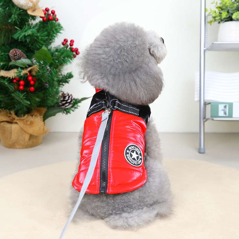 犬服 星型ワッペン付き中綿入りベスト