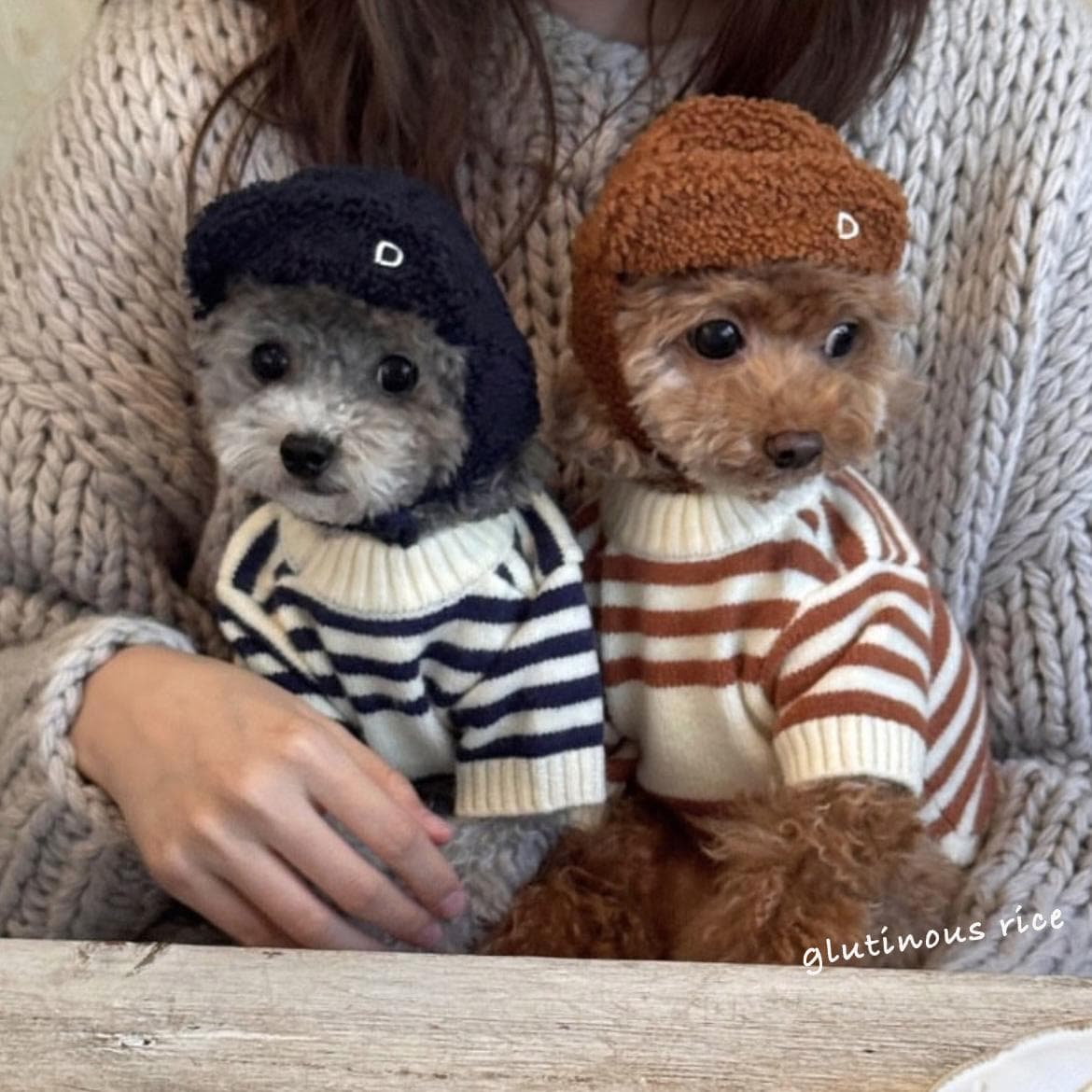 犬服 もこもこ帽子付きボーダーニット