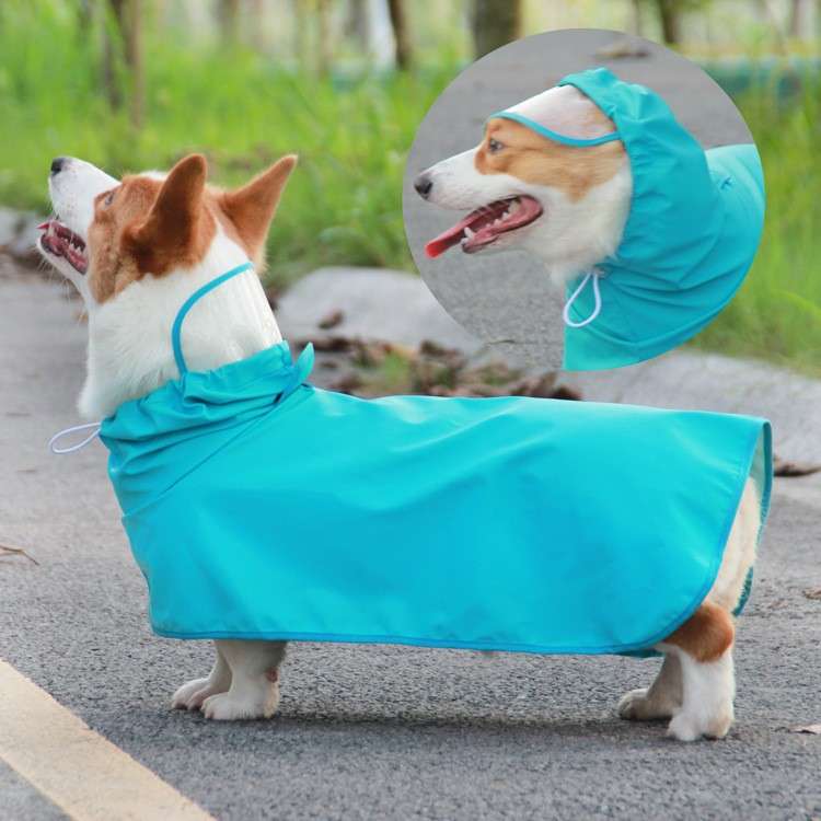 犬服 大型犬 中型犬 小型犬 カッパ レインウェア