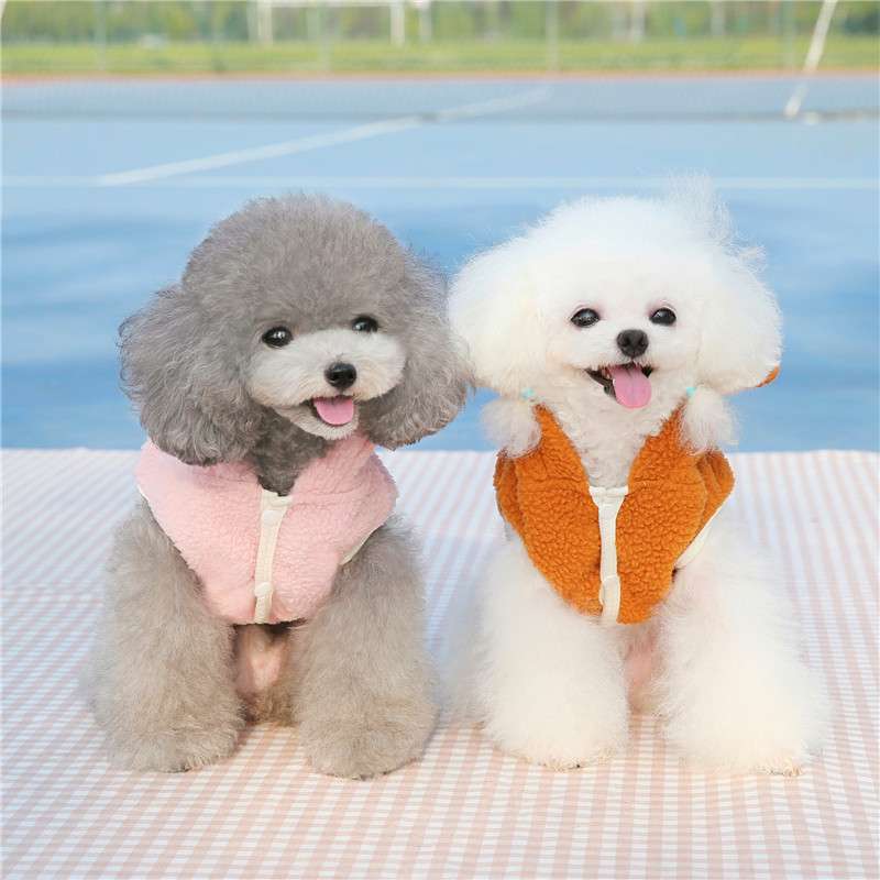 犬服 ふわもこ小型犬用ベアーパーカー