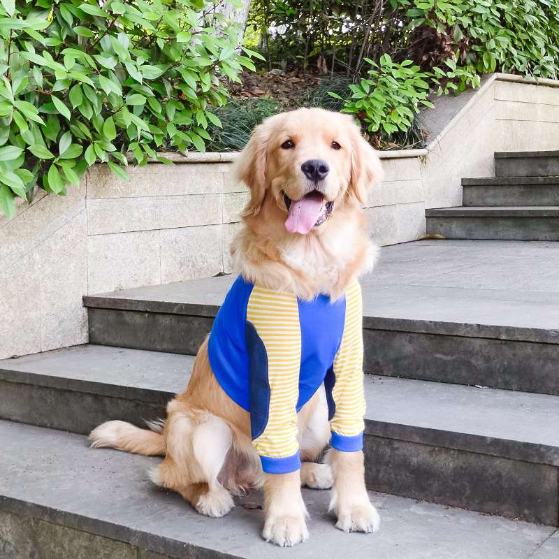 犬服 大型犬用Tシャツ