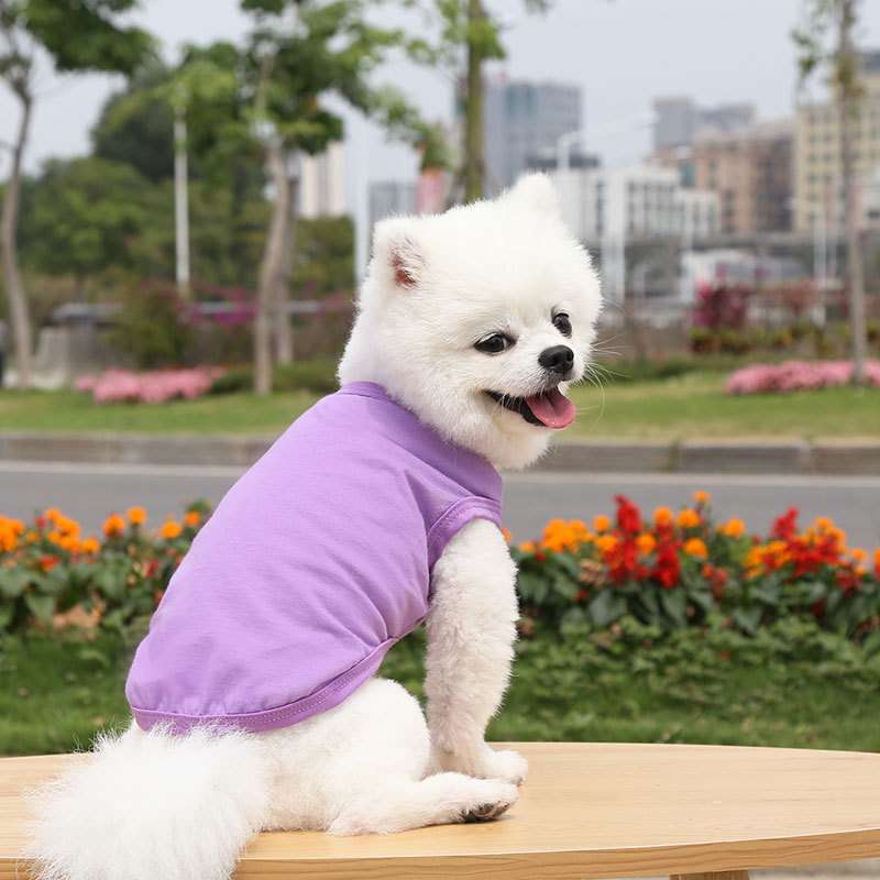 犬服 小型犬〜中型犬用Tシャツ