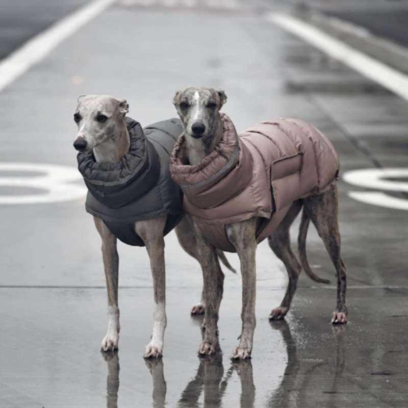 犬服 大型犬用防寒ジャケット