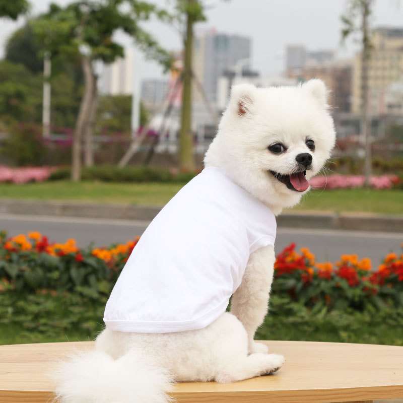 犬服 小型犬〜中型犬用Tシャツ
