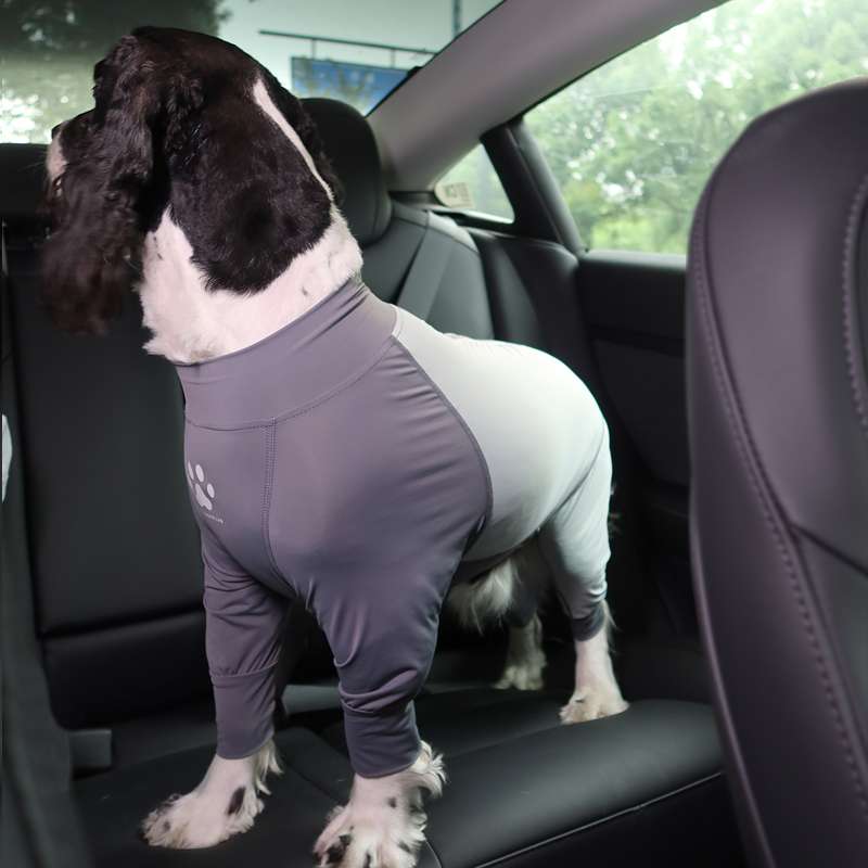 犬服 もこもこワンちゃん専用スポーツウェア