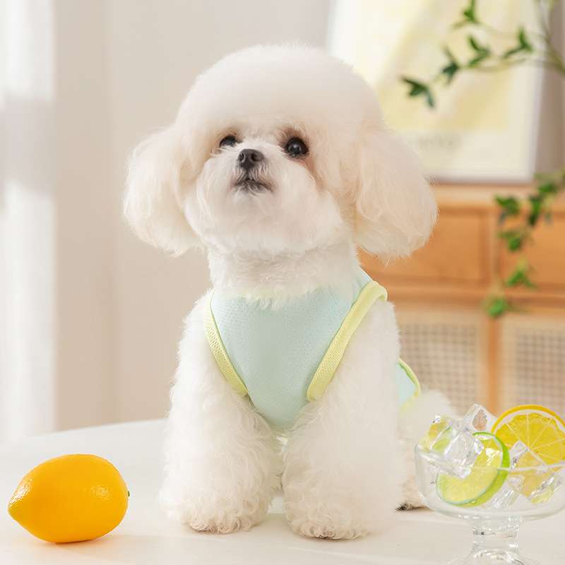 犬服 ふわもこわんちゃん用爽やかベスト