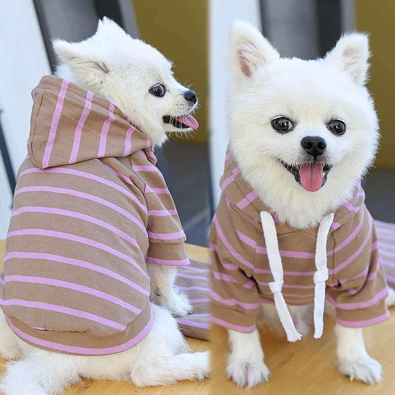 パーカー風ボーダー柄犬服