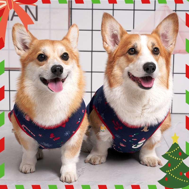 犬服 コーギー用クリスマス柄ベスト