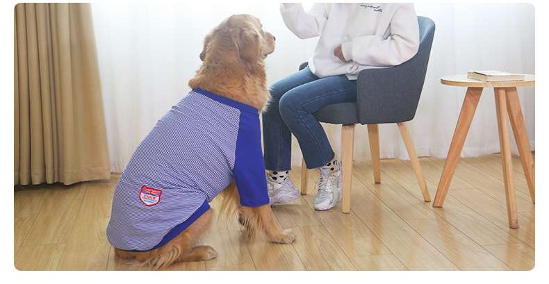 犬服 大型犬用爽やかストライプTシャツ