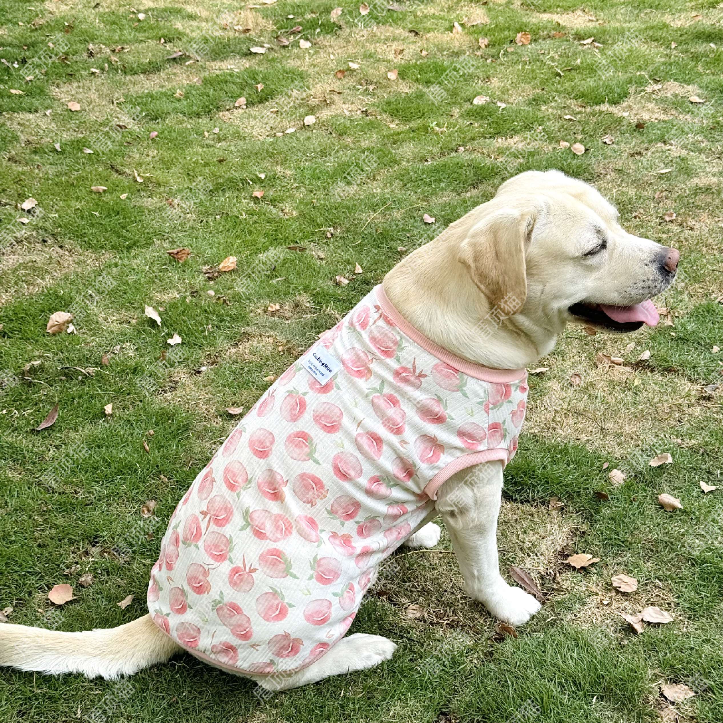 犬服 大型犬用さわやか桃柄タンクトップ