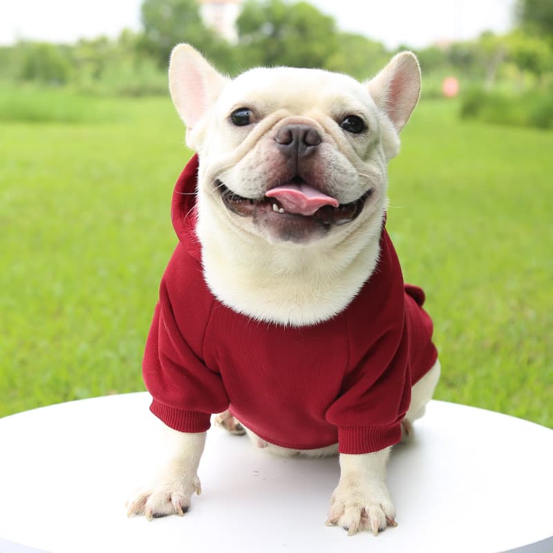犬服 ベーシックポケット付き裏起毛パーカー