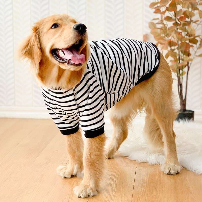 犬服 ボーダー柄ドッグウェア