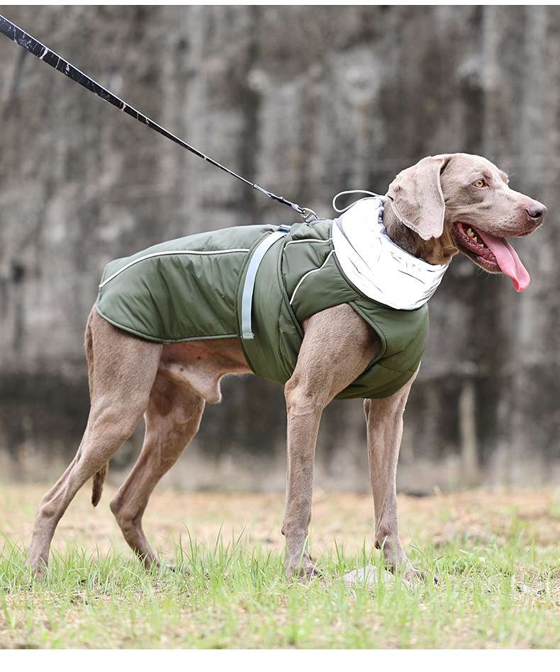 犬服 中型犬用防寒ベスト ハーネス一体型