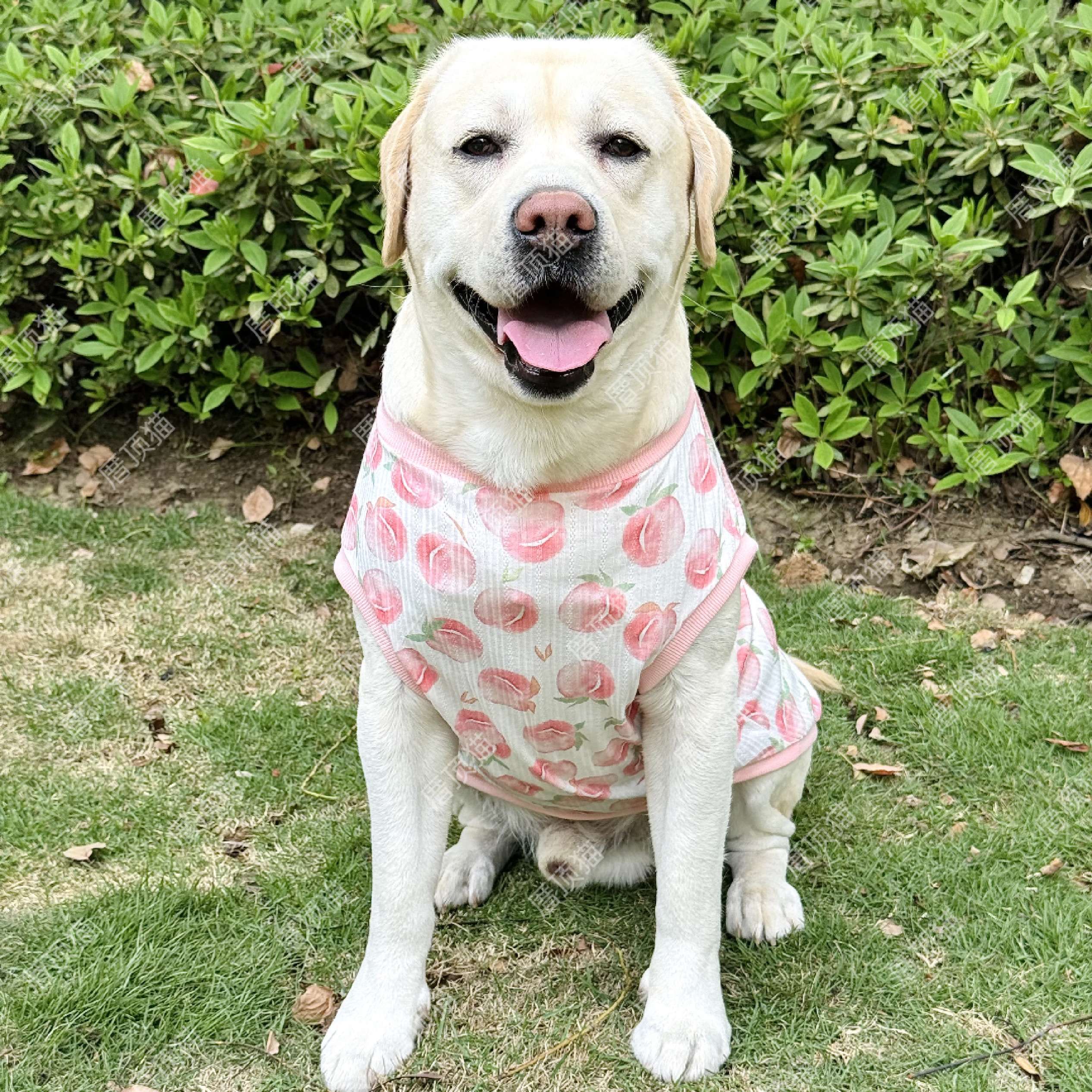 犬服 大型犬用さわやか桃柄タンクトップ
