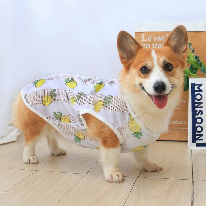 メッシュ素材の犬服