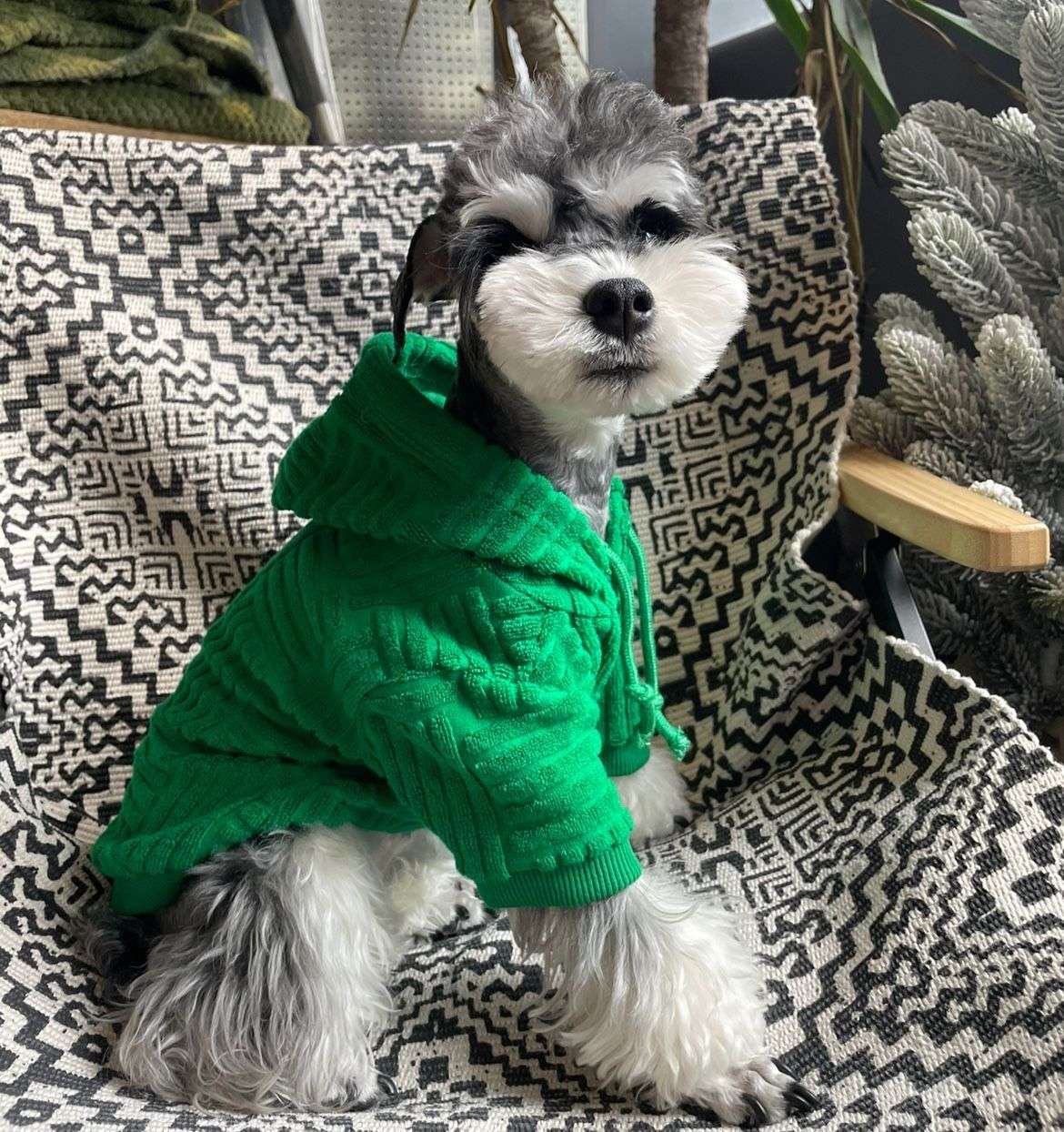 モコモコ素材のセーター型犬服