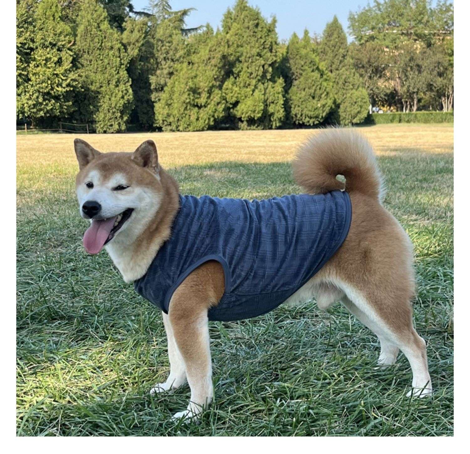 犬服 柔らか素材の犬用タンクトップ