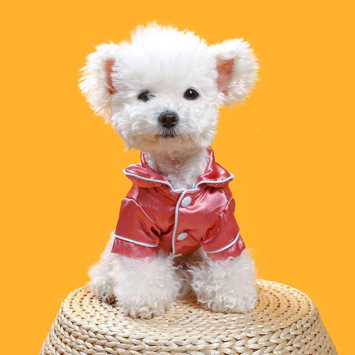 犬服 わんちゃんのお洒落パジャマ