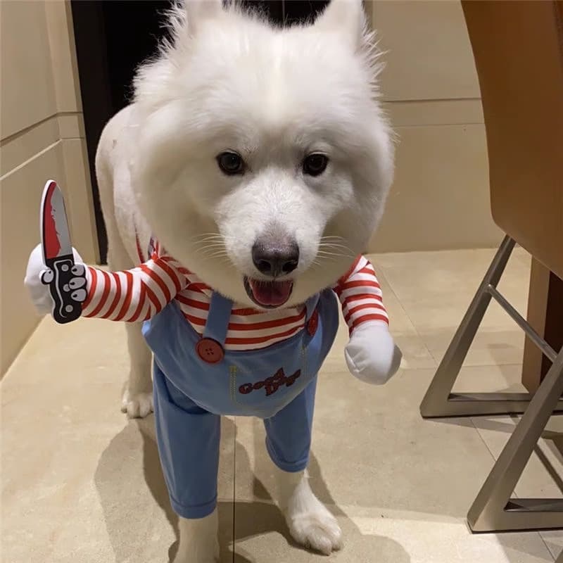 犬服 おもしろキャラクターつなぎ