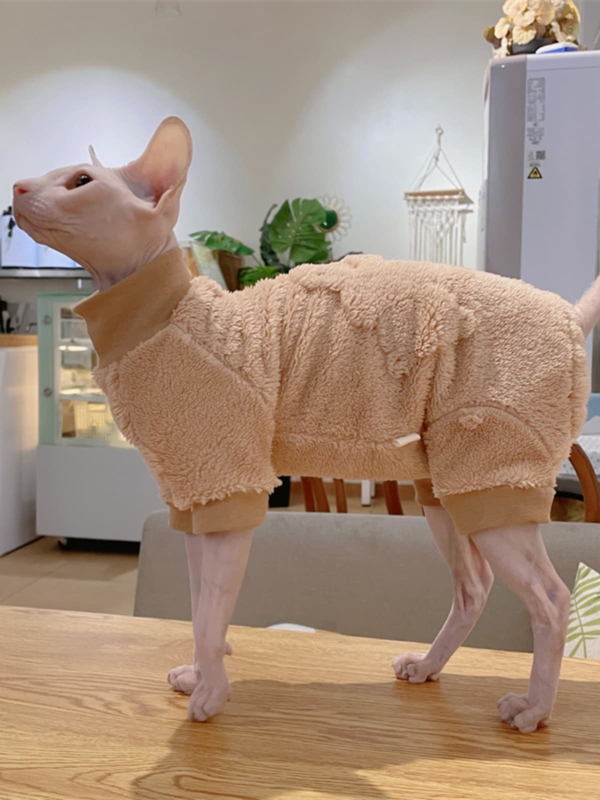 犬服 もこもこニット犬服 あったか肌着