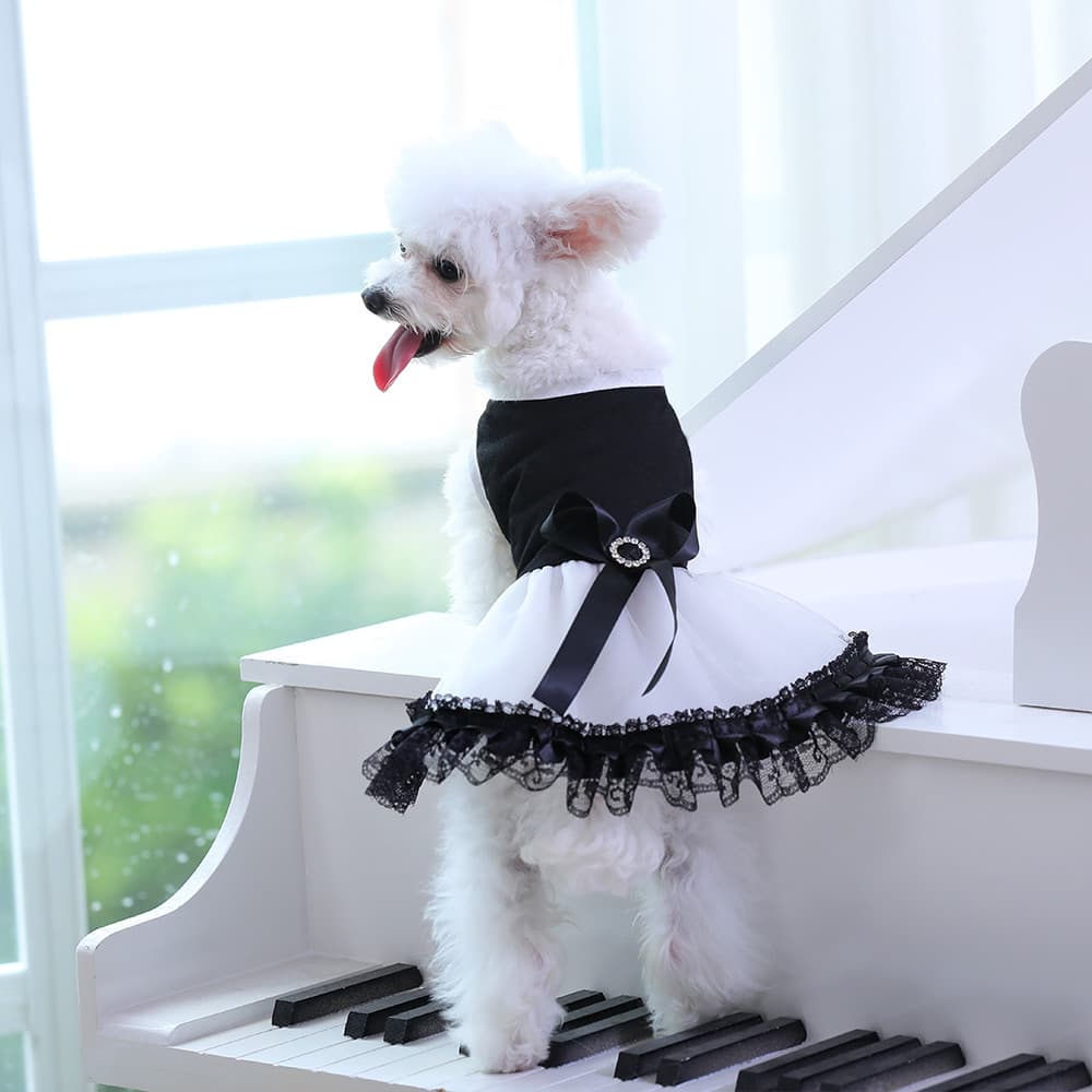 犬服 小型犬用エレガントレース付きチュチュドレス