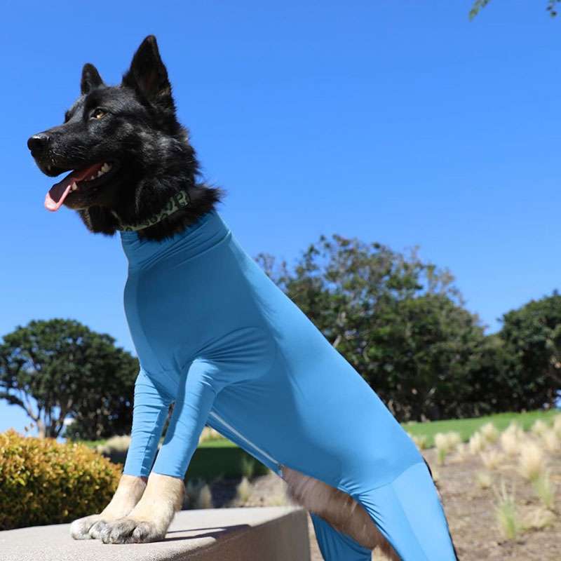 犬服 全身すっぽりドッグウェア