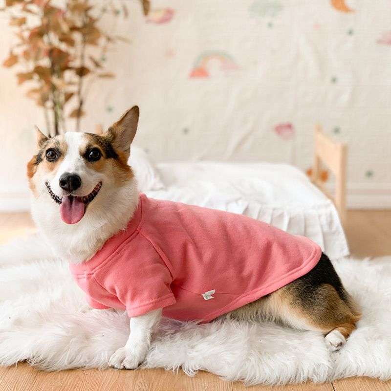 犬服 もこもこ素材の小型〜中型犬用ルームウェア
