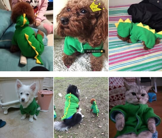 犬服 恐竜変身パーカー 小型犬用 四足タイプ