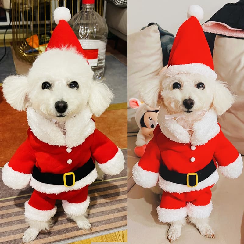 犬服 聖夜の贈り物サンタ変身コスチューム