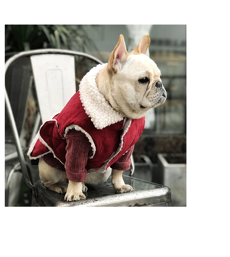 犬服 もこもこ襟付き防寒コート