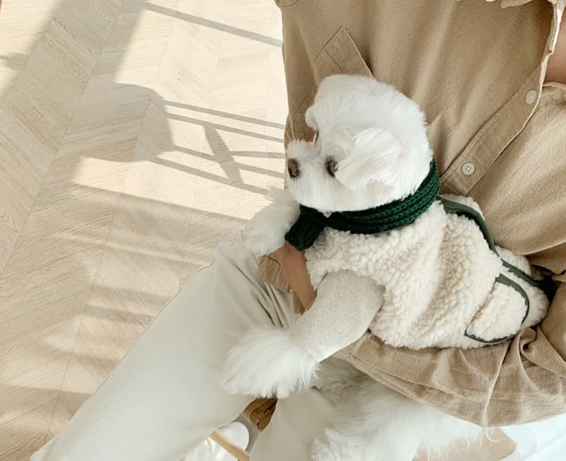 犬服 もこもこボアポケットコート