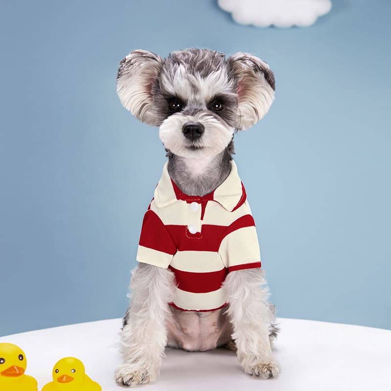 襟付きボーダー柄長袖ポロシャツ風犬服