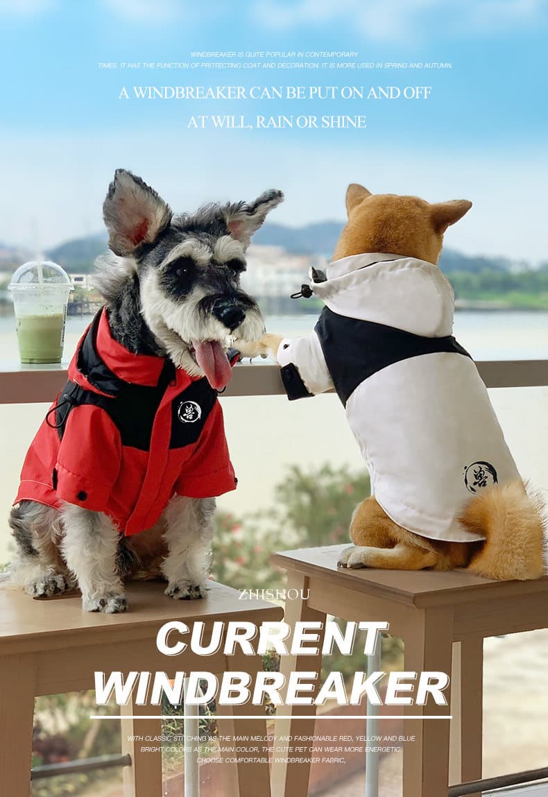 中型犬用スポーティージャケット風犬服