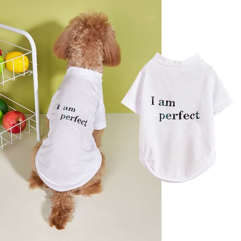 犬服 自信満々ペット用Tシャツ