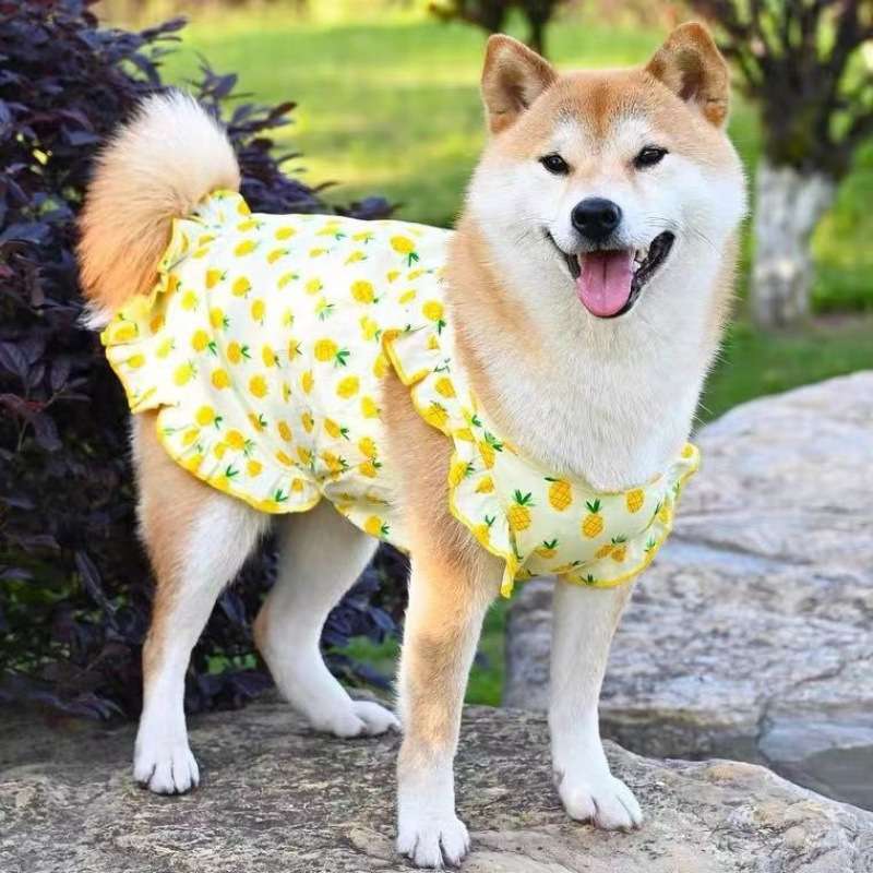 犬服 パイナップル柄フリル付きワンピース
