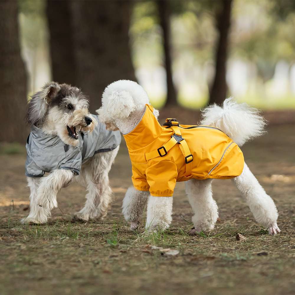 犬服 中型犬〜小型犬用オールウェザーコート〈レインウェア〉