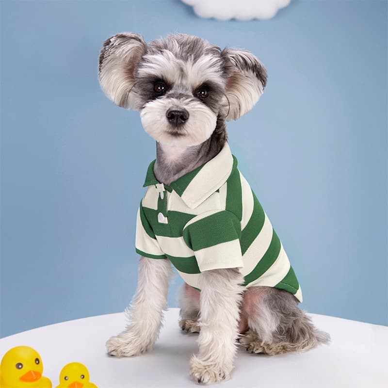 襟付きボーダー柄長袖ポロシャツ風犬服