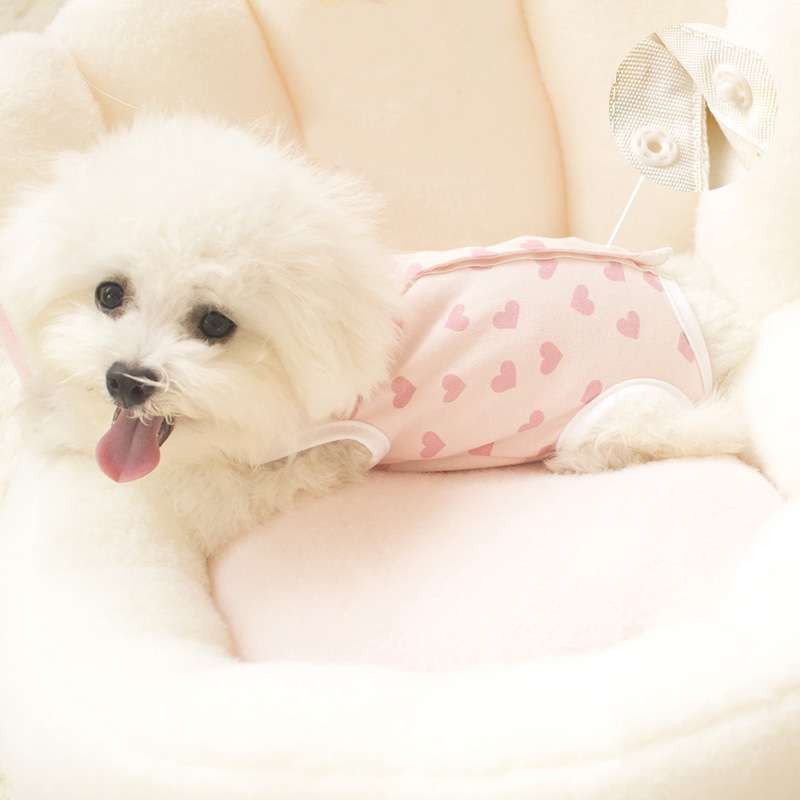犬服 ハートいっぱいロンパース