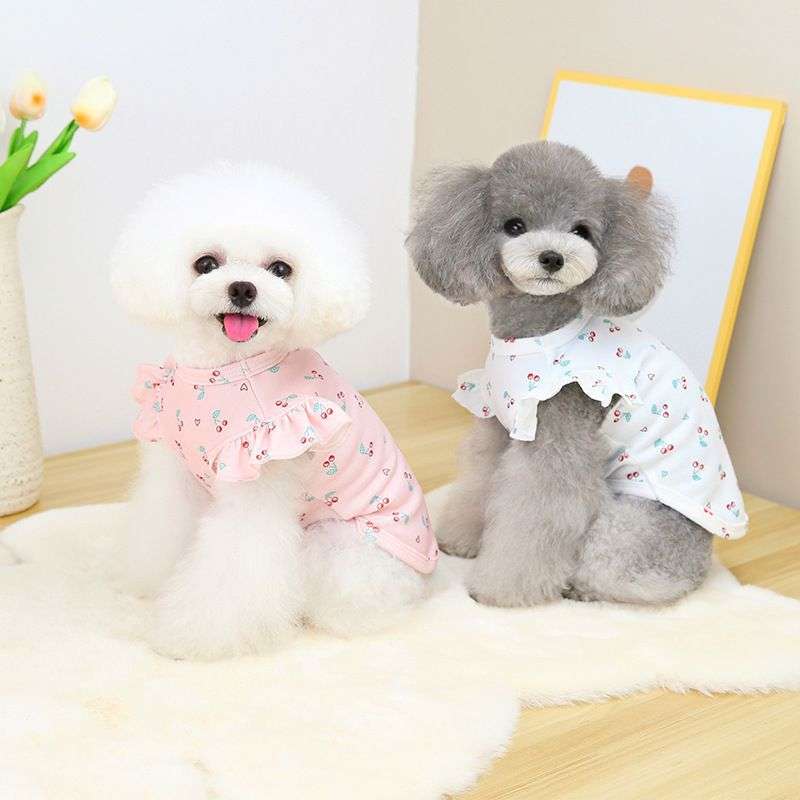 犬服 ふんわり袖のチェリー柄服