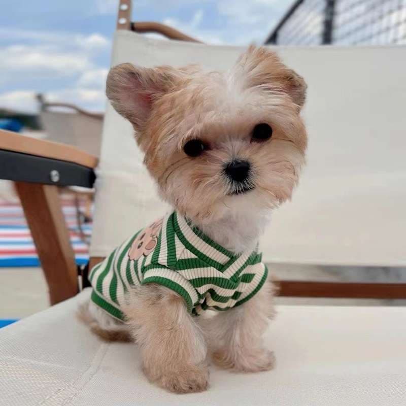 犬服 小型犬 タンクトップ