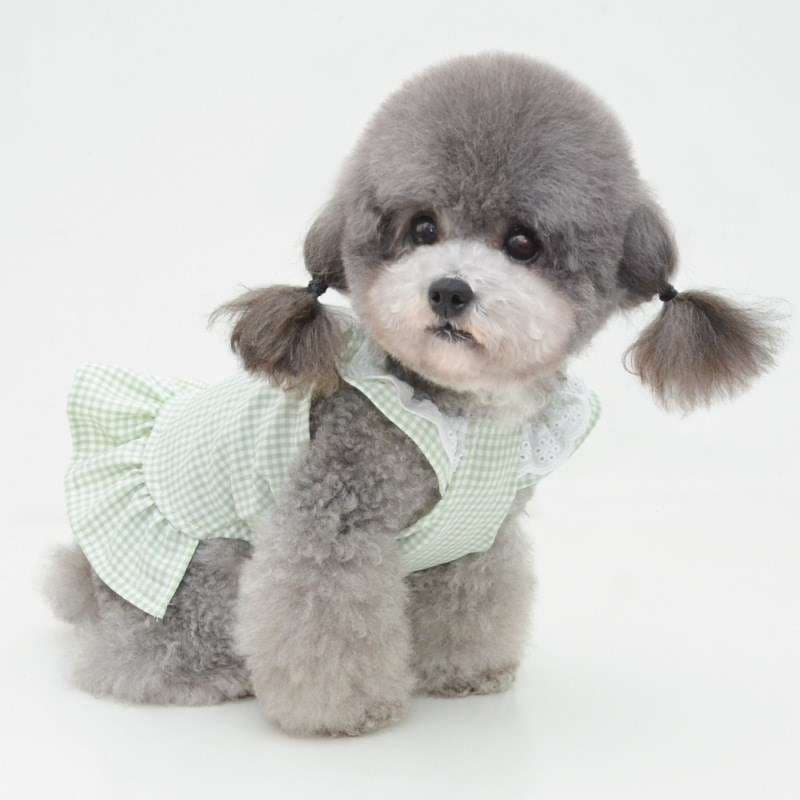 犬服 ギンガムチェック柄フリルワンピース