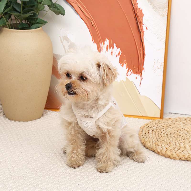 犬服 小型犬用メッシュベスト
