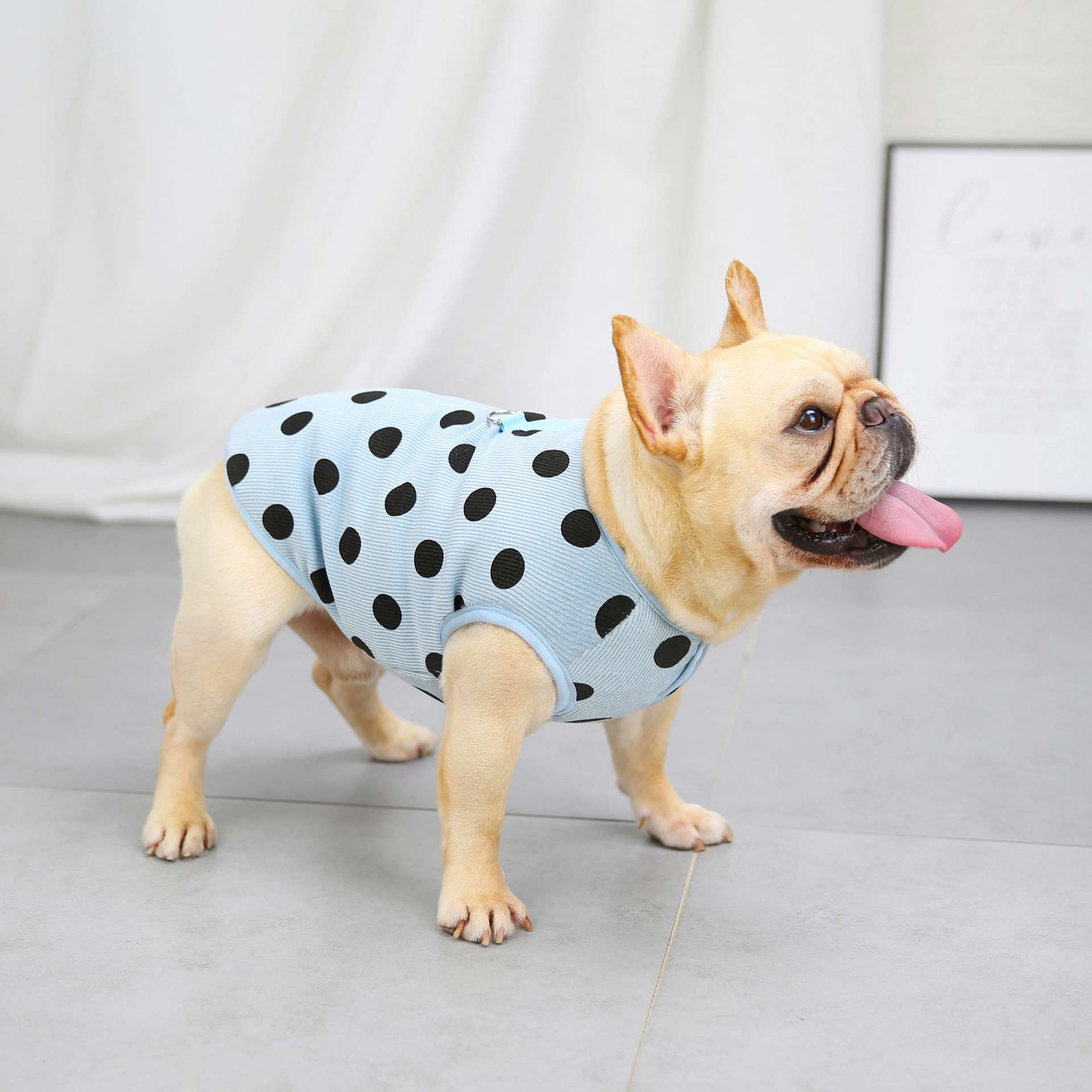 犬服 水玉模様の爽やかベスト
